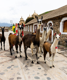 Pueblo de Yanque